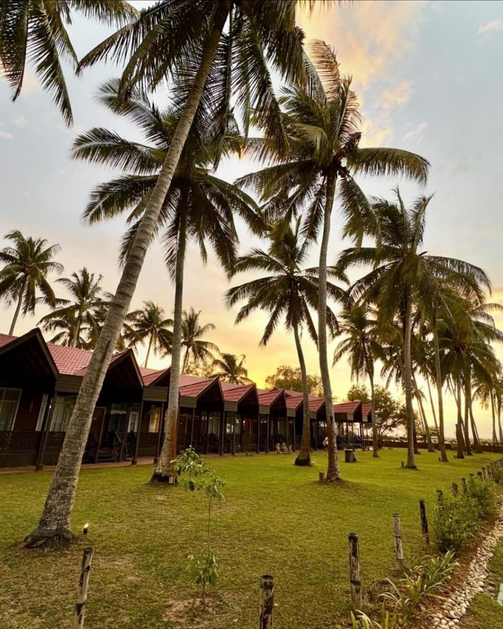 Borneo Beach & Mangrove Resort تواران المظهر الخارجي الصورة